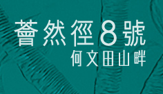 何文田山畔 (HOMANTIN HILLSIDE)一手新盤