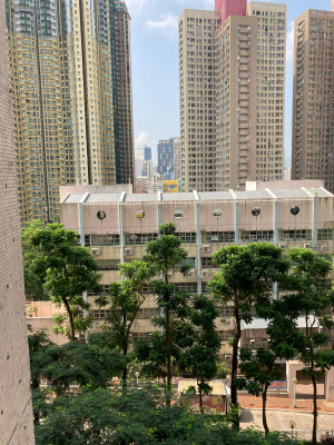 疫情第五浪 形勢突變 業主漸趨保持 買家作主導 【鳳德邨】罕有3房大積 持貨23年 賺幅達12倍 日前以395萬元(綠表)獲綠表人仕承接