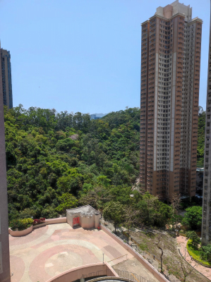 元朗信置新盤-柏瓏 銷情理想 上車客路以年青客為主 【海港花園】信和發展 新盤利好消息加強信心 中層兩房日前以$552萬元成交