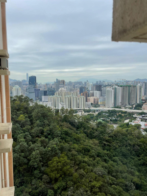 通關顯見有助刺激中港兩地經濟 料本港樓市會較去年好 新年假後第一炮【嘉峰台】靚景3房 貼近銀行估價出售 日前以$593.8萬元(綠表)獲承接