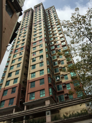 大型新盤低於市價開售 發展商力吸一二手客源  二手市場業主擴闊議價空間即獲承接  黃大仙怡庭居兩房戶減價$78萬元以$460萬元低市價約15%售出 